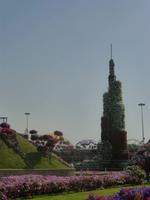 Miracle Garden Dubai