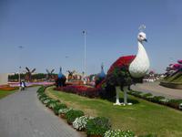 Miracle Garden Dubai