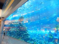 Dubai Mall Aquarium