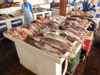 Sharjah Fischmarkt