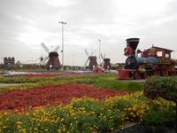 Miracle Gardens in Dubai