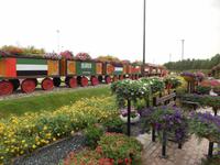 Miracle Gardens in Dubai