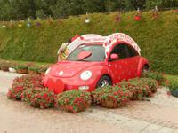 Miracle Gardens in Dubai