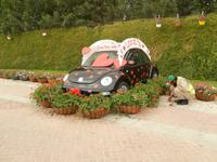 Miracle Gardens in Dubai