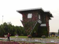 Miracle Gardens in Dubai