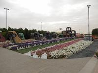 Miracle Gardens in Dubai
