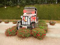 Miracle Gardens in Dubai