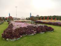 Miracle Gardens in Dubai
