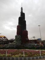 Miracle Gardens in Dubai