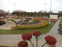 Miracle Gardens in Dubai