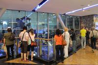 Dubai Stadtrundfahrt - Skihalle