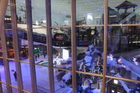 Dubai Stadtrundfahrt - Skihalle