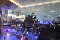 Dubai Stadtrundfahrt - Skihalle