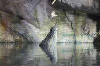Dubai Mall - Aquarium