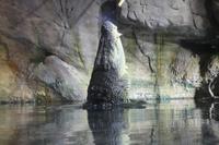 Dubai Mall - Aquarium