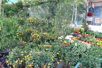 Busfahrt zur Ostküste