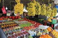 Busfahrt zur Ostküste