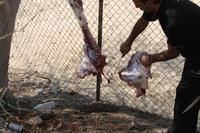 Busfahrt zur Ostküste - Hadschar-Gebirge