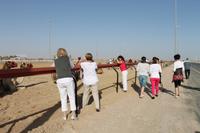 Busfahrt nach Al Ain - Kamelrennstrecke