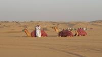 Wüstensafari mit Barbecue - Dubai - Rundreise Arabische Emirate