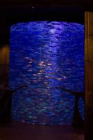 Atlantis Hotel auf der Palmen Insel  (8)