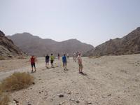 Auf dem Weg zur Ostküste (2)