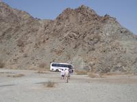 Auf dem Weg zur Ostküste (6)