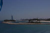 Die Palmen Insel (3)