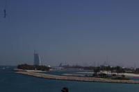 Die Palmen Insel (4)