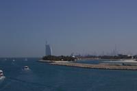 Die Palmen Insel (5)