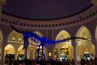 Dinosaurierskelett in der Dubai Mall