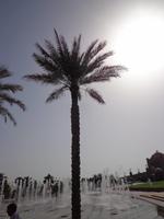 Emirates Palace (12)