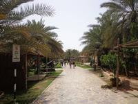 Heritage Village in Abu Dhabi (2)