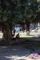 Jumeirah Moschee (14)