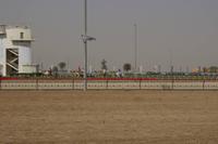 Kamelrennstrecke in Dubai  (4)