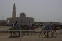 Kamelrennstrecke in Dubai  (8)