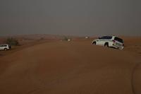 Wüstensafari in Dubai (11)