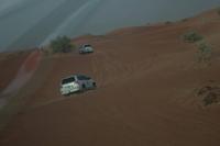 Wüstensafari in Dubai (12)