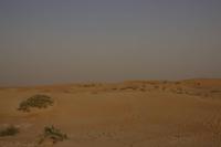 Wüstensafari in Dubai (4)