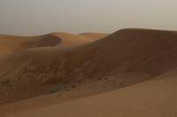 Wüstensafari in Dubai (42)