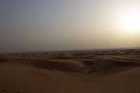 Wüstensafari in Dubai (45)