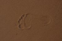 Wüstensafari in Dubai (51)