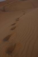 Wüstensafari in Dubai (55)