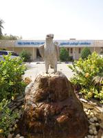 zu Besuch in der Falkenklinik von Abu Dhabi (2)