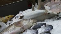 Abu Dhabi, Fischmarkt