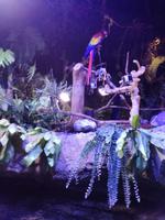Aquarium Dubai Mall
