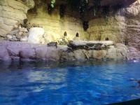 Aquarium Dubai Mall