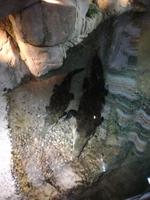 Aquarium Dubai Mall