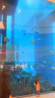 Aquarium
