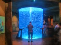 Atlantis Hotel auf 